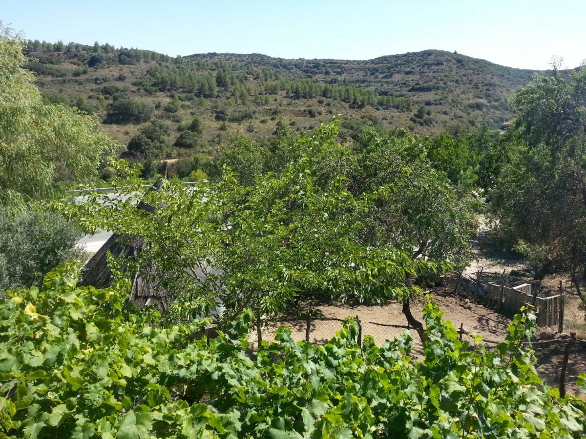 San Martín de Unx Hostal Rural Casa Pedro מראה חיצוני תמונה